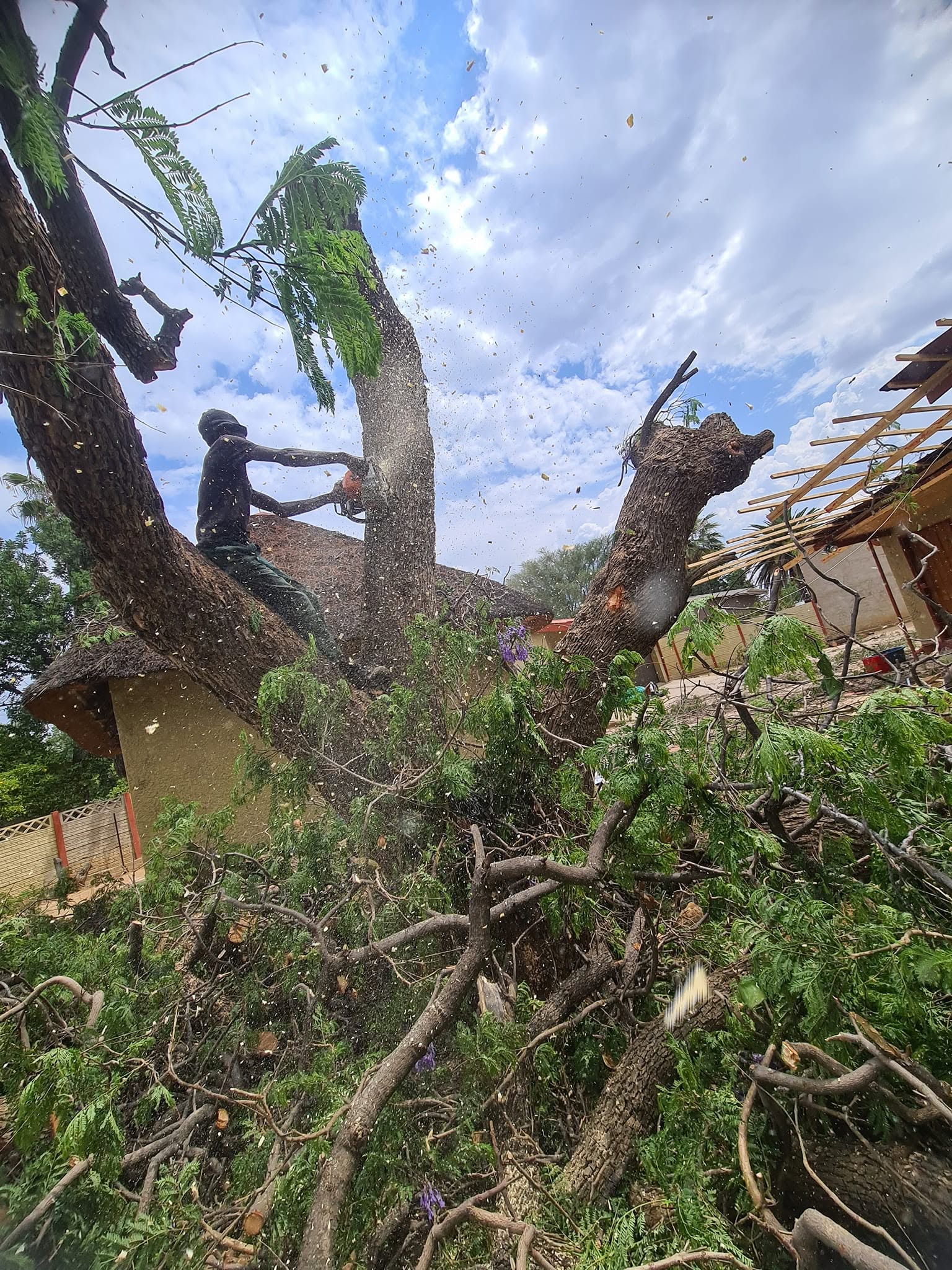 Axe Man Tree Cutters project