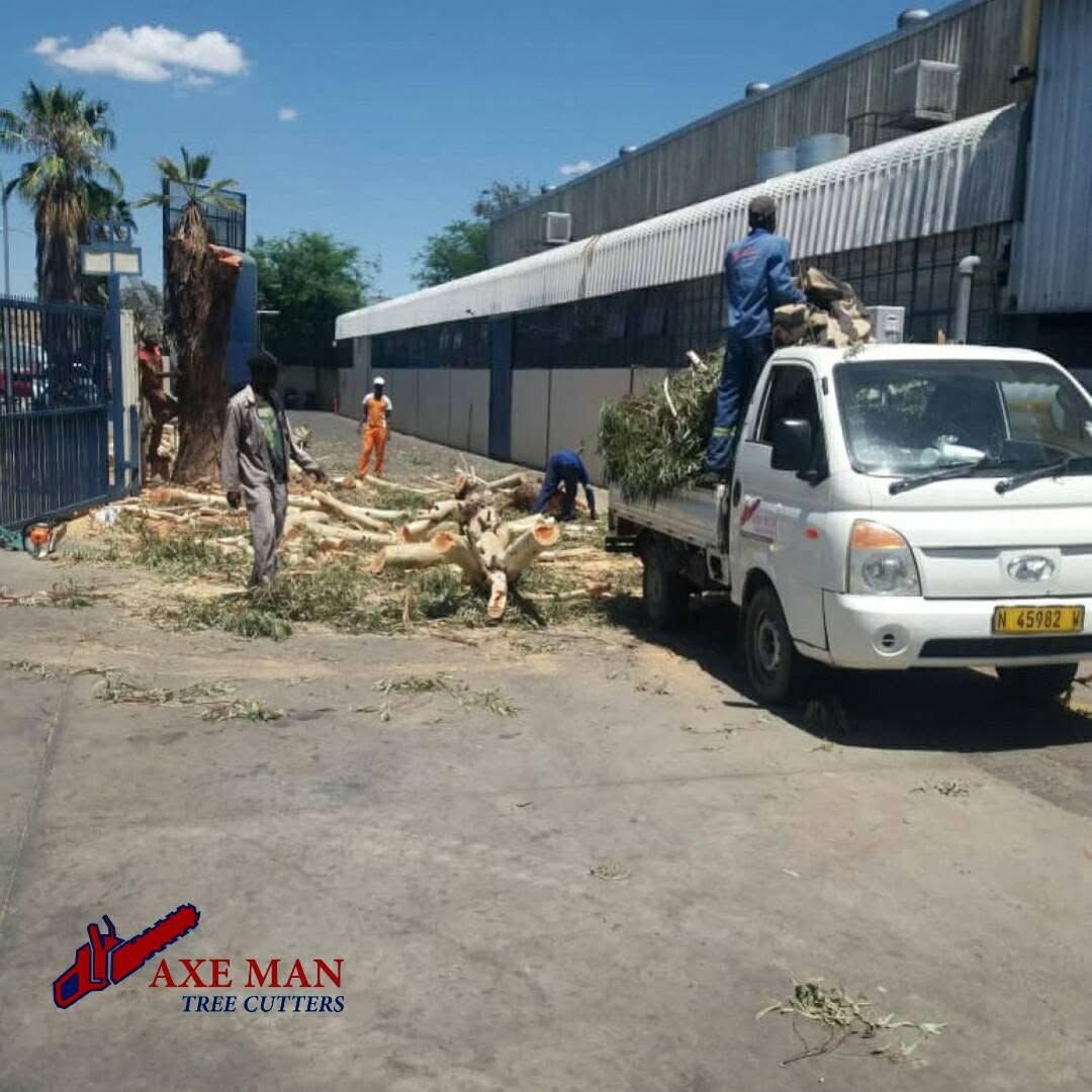 Axe Man Tree Cutters project