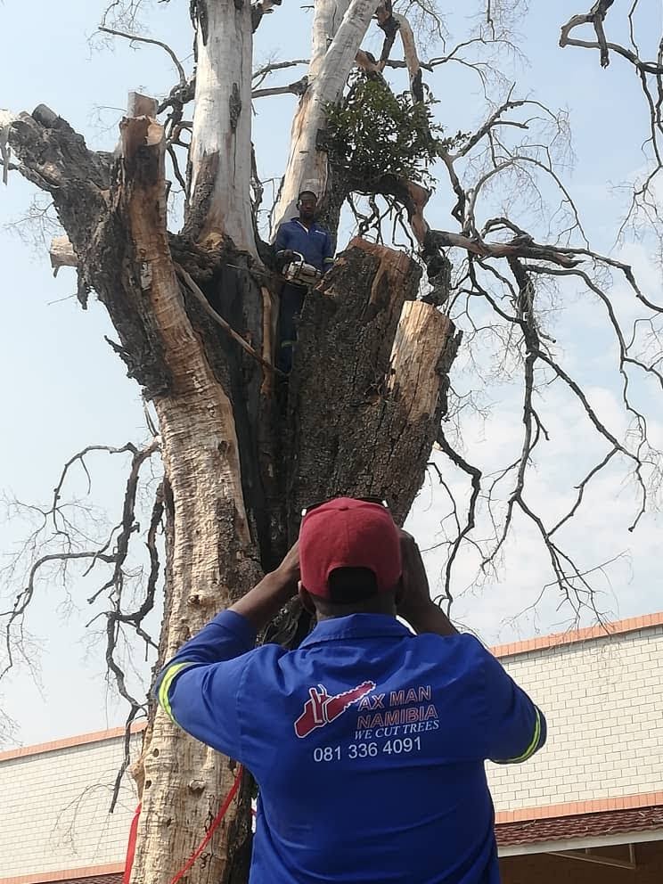 Axe Man Tree Cutters project