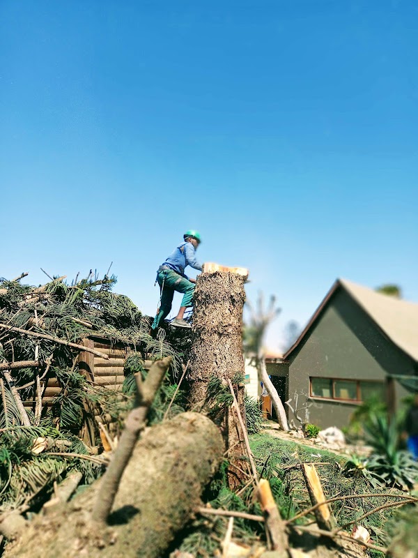 Axe Man Tree Cutters project